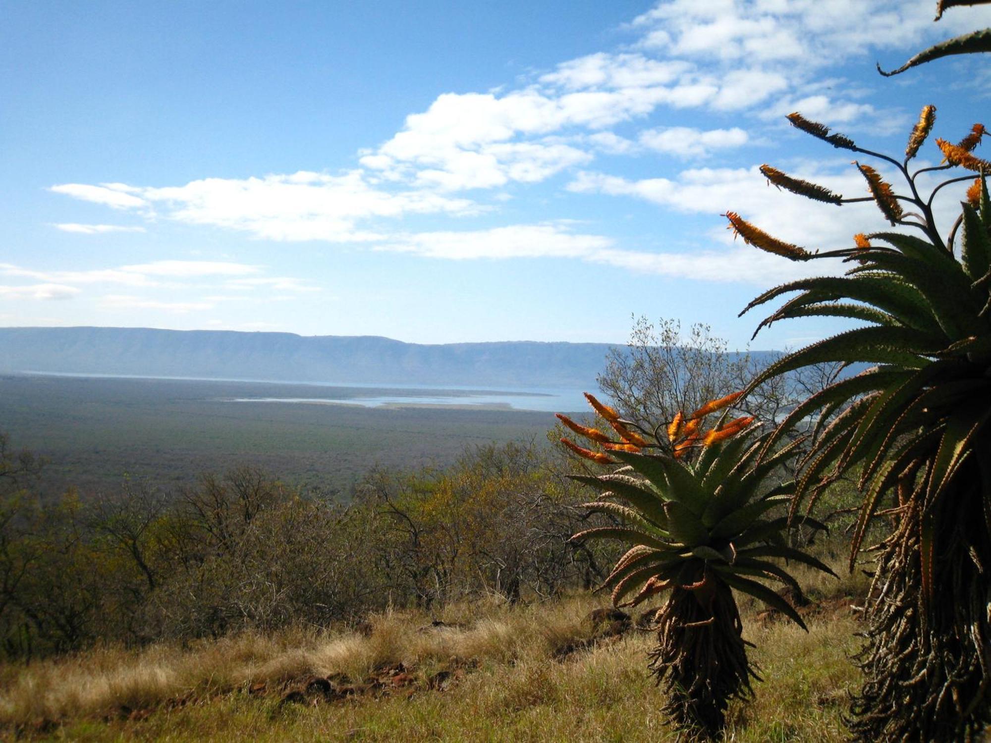 Shayamoya Tiger Fishing And Game Lodge Pongola Exterior foto